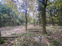 Prodej lesa, Srbice - Těšovice, 3279 m2