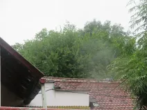 Dražba zahrady, Schořov, 601 m2