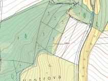 Dražba lesa, Jenišovice, 1872 m2