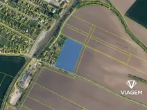 Prodej podílu pole, Chotětov, 2646 m2