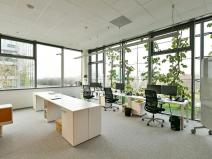 Pronájem kanceláře, Praha - Chodov, V parku, 346 m2