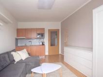 Pronájem bytu 1+kk, Brno, Božetěchova, 28 m2
