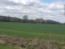 Dražba zahrady, Plzeň, 7558 m2