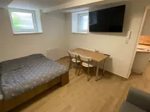 Pronájem bytu 1+kk, Zlín, Štefánikova, 30 m2
