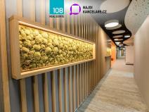 Pronájem kanceláře, Praha - Michle, Jihlavská, 902 m2