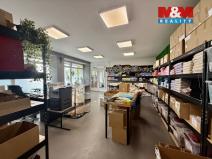 Prodej kanceláře, Bohumín - Šunychl, Šunychelská, 460 m2