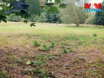 Prodej louky, Bystřice, 1741 m2