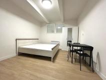 Pronájem bytu 1+kk, Praha - Nusle, Na bitevní pláni, 25 m2