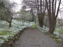 Dražba pozemku pro bydlení, Benešov nad Černou, 2520 m2