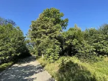 Dražba louky, Vsetín, 3055 m2