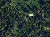 Dražba lesa, Veverské Knínice, 77 m2