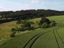 Prodej pozemku, Dobrkovice, 30944 m2