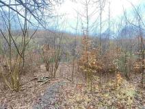 Prodej pole, Ždánice, 3207 m2