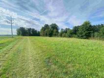 Prodej pozemku, Maleč, 6901 m2