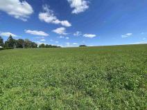 Prodej pozemku, Boňkov, 5743 m2