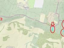 Prodej lesa, Želenice, 6238 m2