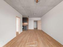 Pronájem bytu 1+kk, Plzeň, Kamenická, 55 m2