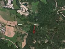 Prodej lesa, Kozárovice, 40085 m2