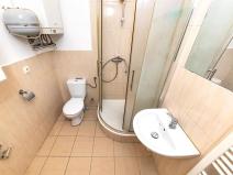 Prodej bytu 2+kk, Brno, Zezulova, 38 m2