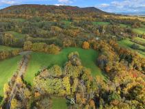 Prodej louky, Stvolínky, 37129 m2