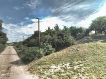 Pronájem zahrady, Hustopeče, 7122 m2