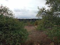 Pronájem zahrady, Dolní Kounice, 1406 m2