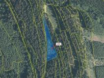 Dražba lesa, Lačnov, 3805 m2