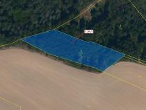 Dražba lesa, Žirovnice, 3636 m2