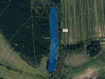 Dražba lesa, Žirovnice, 5041 m2