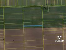 Prodej pole, Moravský Žižkov, 1473 m2