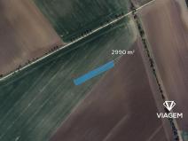 Prodej pole, Třibřichy, 2990 m2