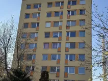 Prodej bytu 1+1, Český Brod, Palackého, 40 m2