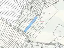 Dražba lesa, Ivančice, 1130 m2