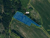 Dražba lesa, Náměšť nad Oslavou, 3646 m2