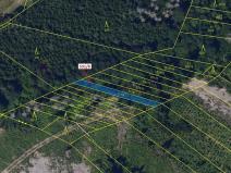 Dražba lesa, Havlíčkův Brod, 212 m2