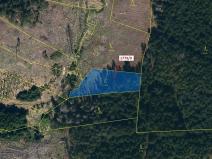 Dražba lesa, Žirovnice, 1388 m2