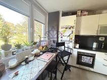 Prodej bytu 1+1, Brno - Kohoutovice, Prokofjevova, 36 m2