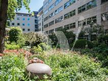 Pronájem kanceláře, Praha - Nové Město, Na příkopě, 187 m2