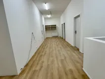 Pronájem ubytování, Brno, Štefánikova, 300 m2