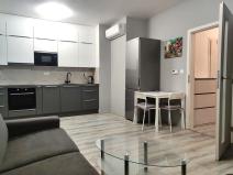 Pronájem bytu 1+kk, Brno, Rumiště, 35 m2