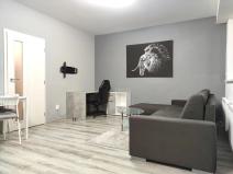 Pronájem bytu 1+kk, Brno, Rumiště, 35 m2