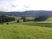 Dražba louky, Dolní Dobrouč, 71151 m2