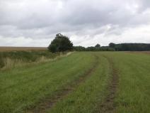 Dražba pole, Záluží, 8654 m2