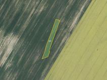 Prodej pole, Vyklantice, 7316 m2