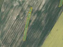 Prodej pole, Vyklantice, 16454 m2