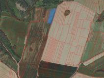 Prodej pole, Radošovice, 6988 m2