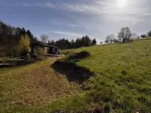 Prodej pole, Levínská Olešnice, 8891 m2