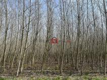 Prodej pole, Doubrava, 59227 m2