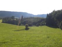 Prodej pole, Dolní Dobrouč - Horní Dobrouč, 71151 m2