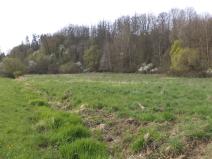 Prodej pozemku, Dešná - Dančovice, 4036 m2